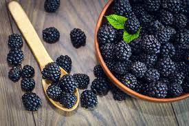 Fascinating facts about Blackberries